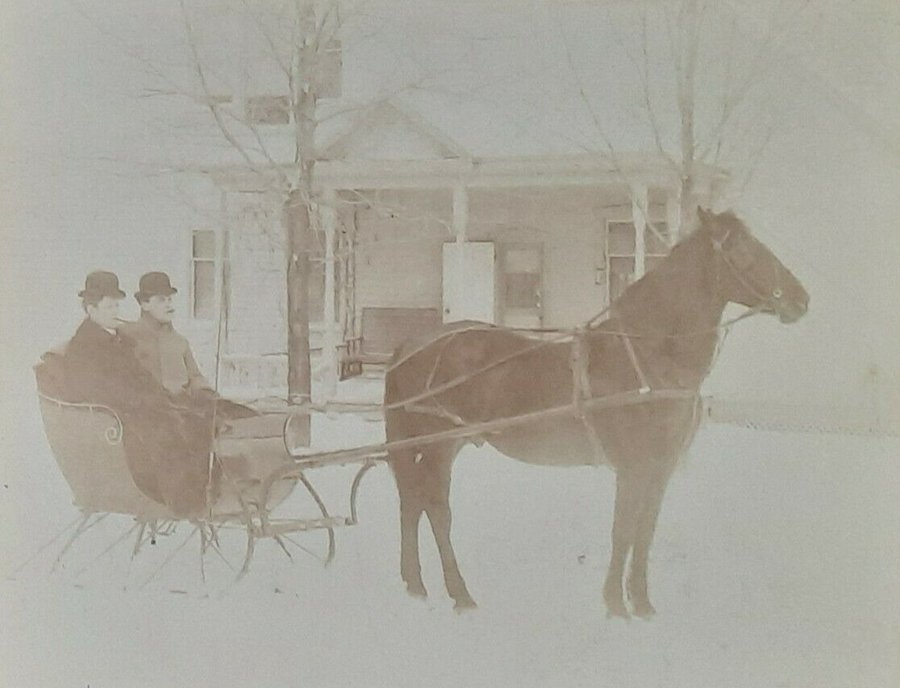 Antique Horse Photo Pulling Sleigh 19th Century Howard City
