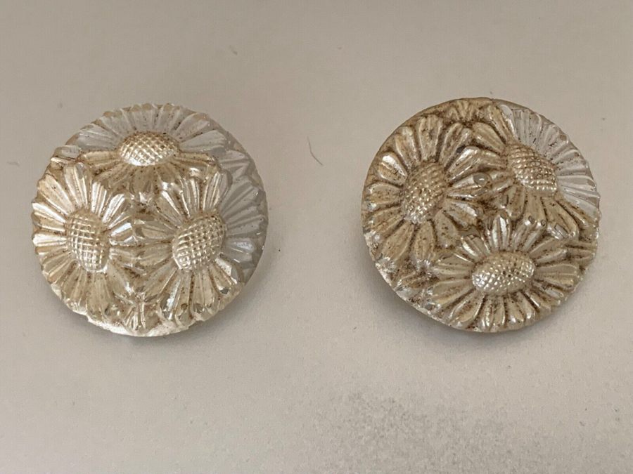 Two Beautiful French Vintage Lucite Buttons